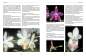 Preview: Bromelien, Orchideen und Farne im Tropenterrarium